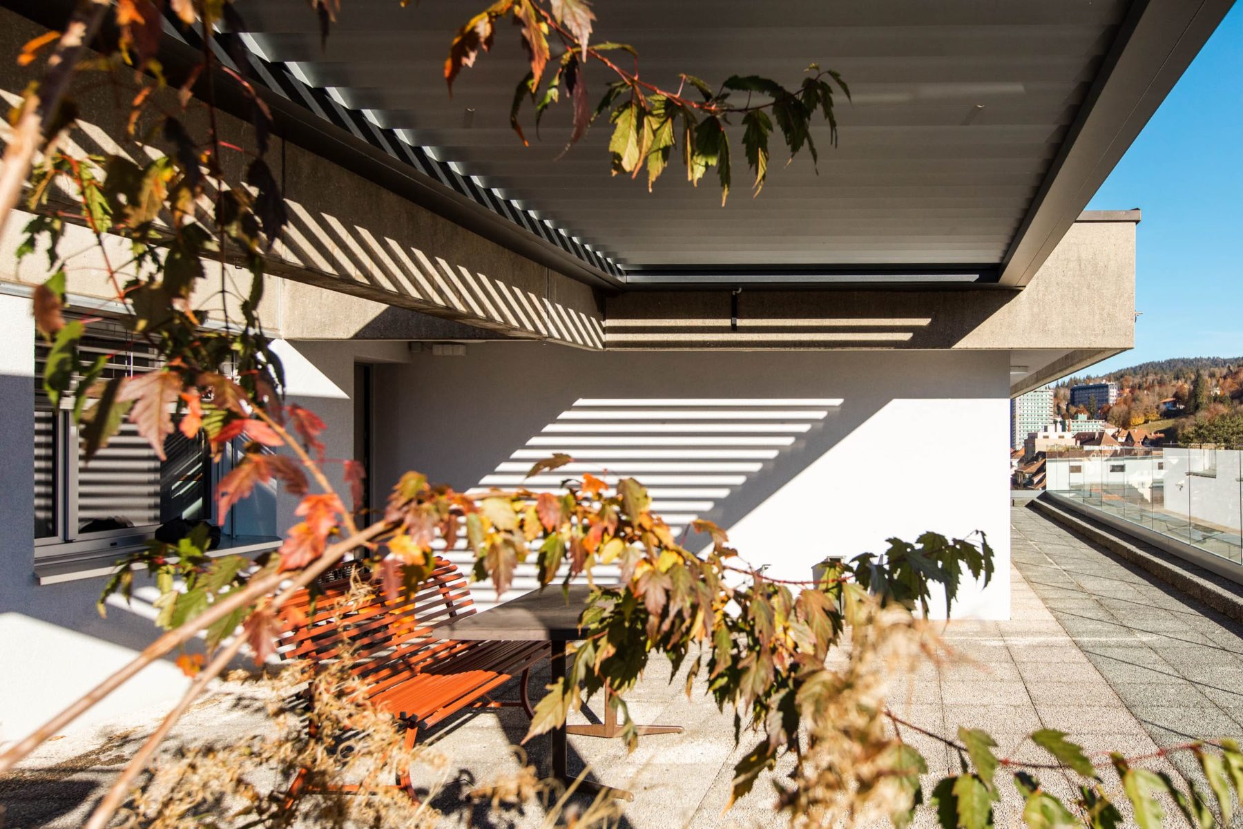 Réalisations - Pergolas-8